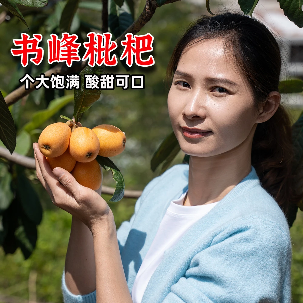 （A级果）莆田书峰包邮福建枇杷新鲜大果5斤应当季孕妇水果甜琵琶