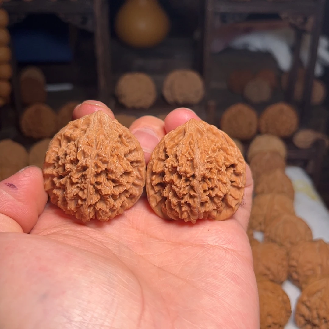 大叶紫檀（黑酸枝木类）满天星