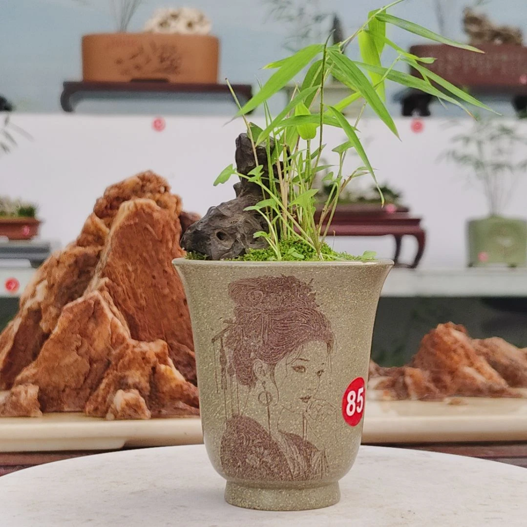 盆景，小玉山竹，太湖石，