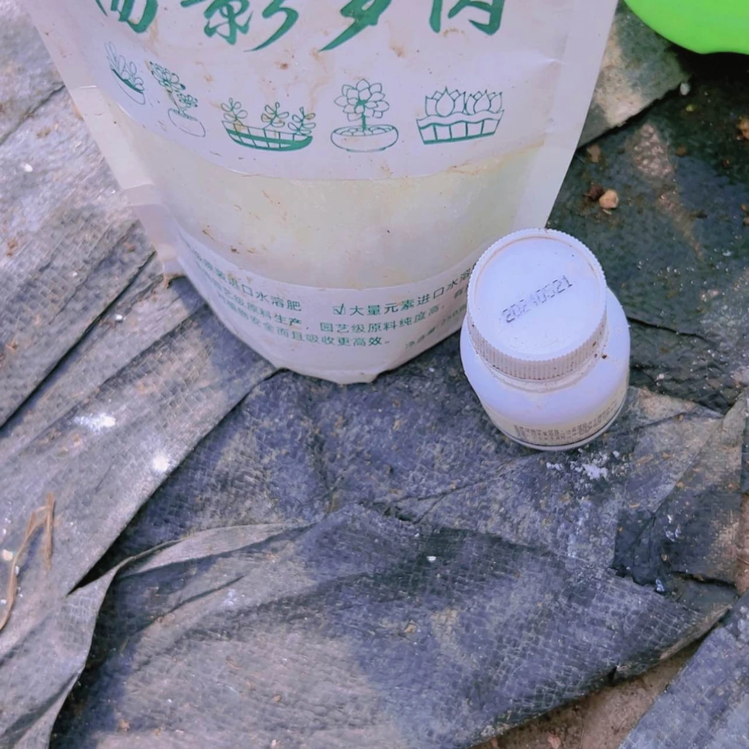 【闪购商品】营养水溶分加杀菌