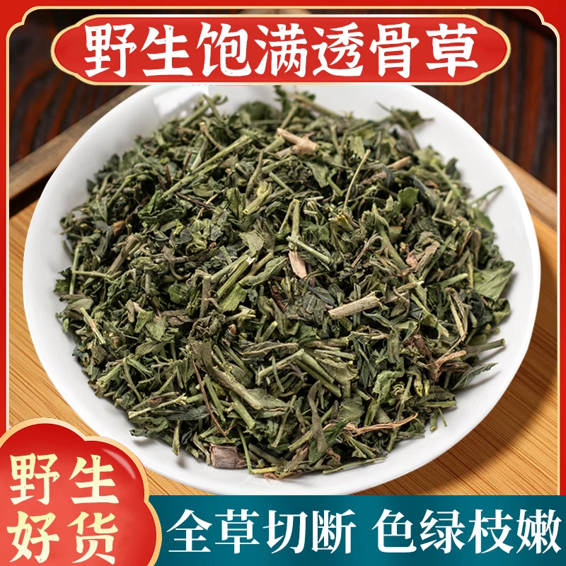透骨草野生正品自然晒干透骨草珍珠透骨草新货干货包邮另售益母草