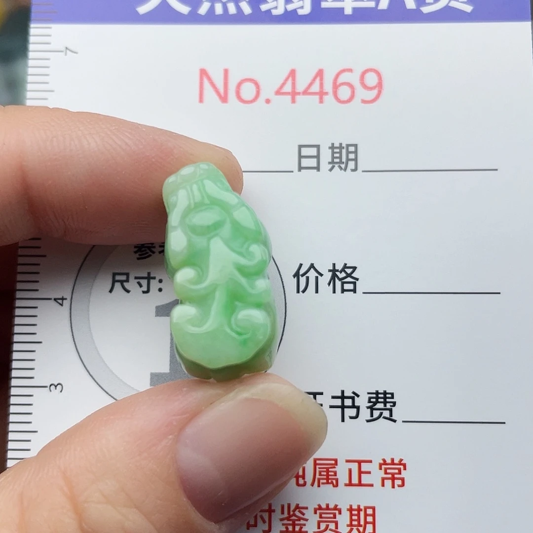 翡翠未镶嵌挂件4469