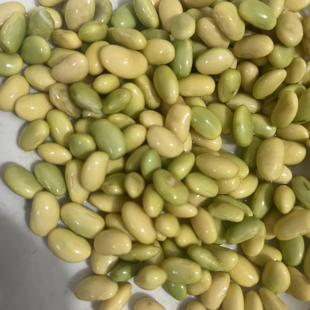 常宁本地新鲜手剥黄豆现剥毛豆炖猪脚炖排骨炒肉沫