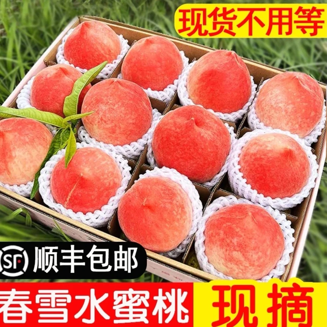 【大大果】春雪水蜜桃4-5两3-5斤河北省