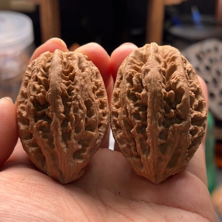 文玩核桃把件楸大胖94