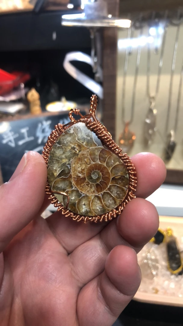 复古手工绕线鹦鹉螺化石