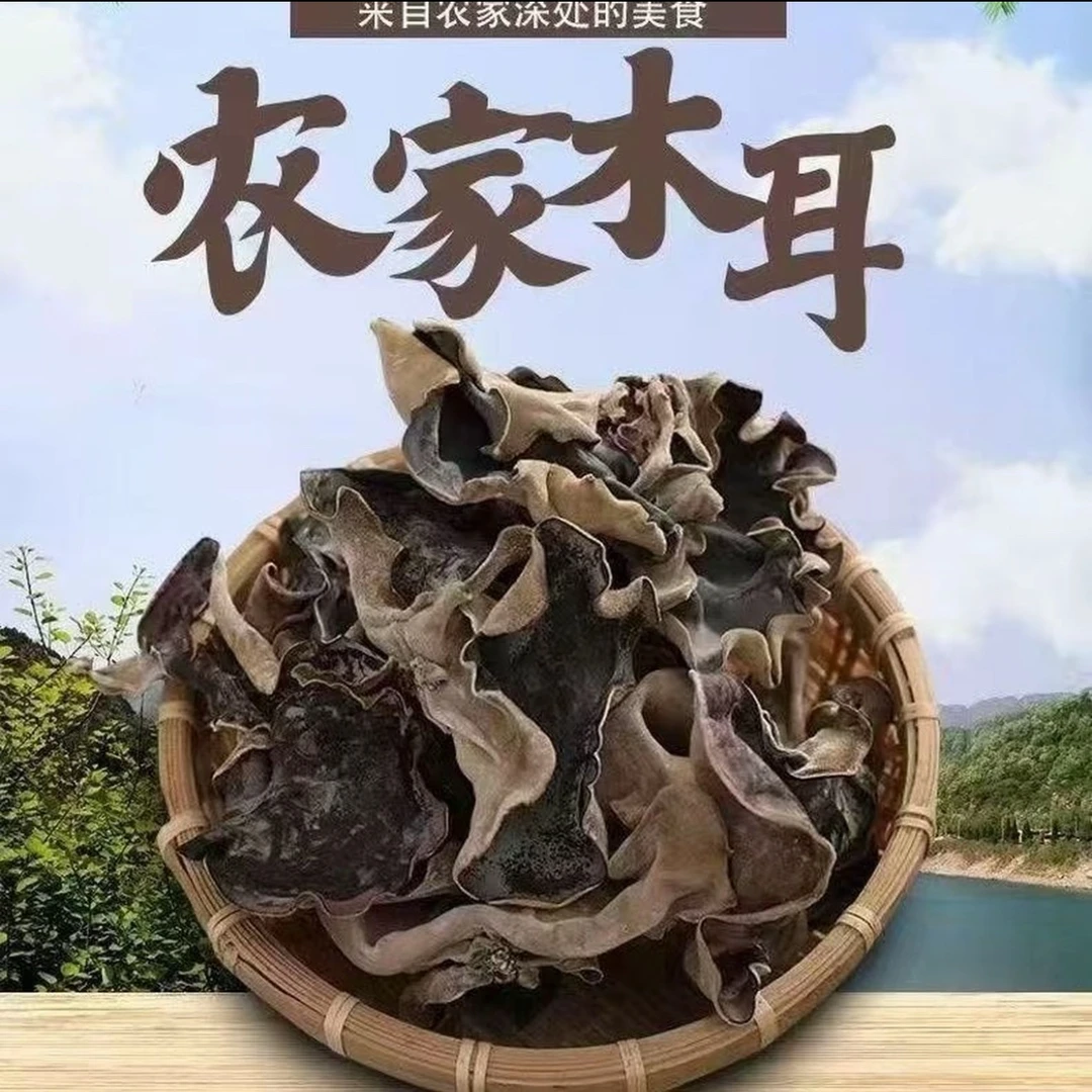 头茬木耳干货单片无根肉厚干净无沙好吃不腻zn