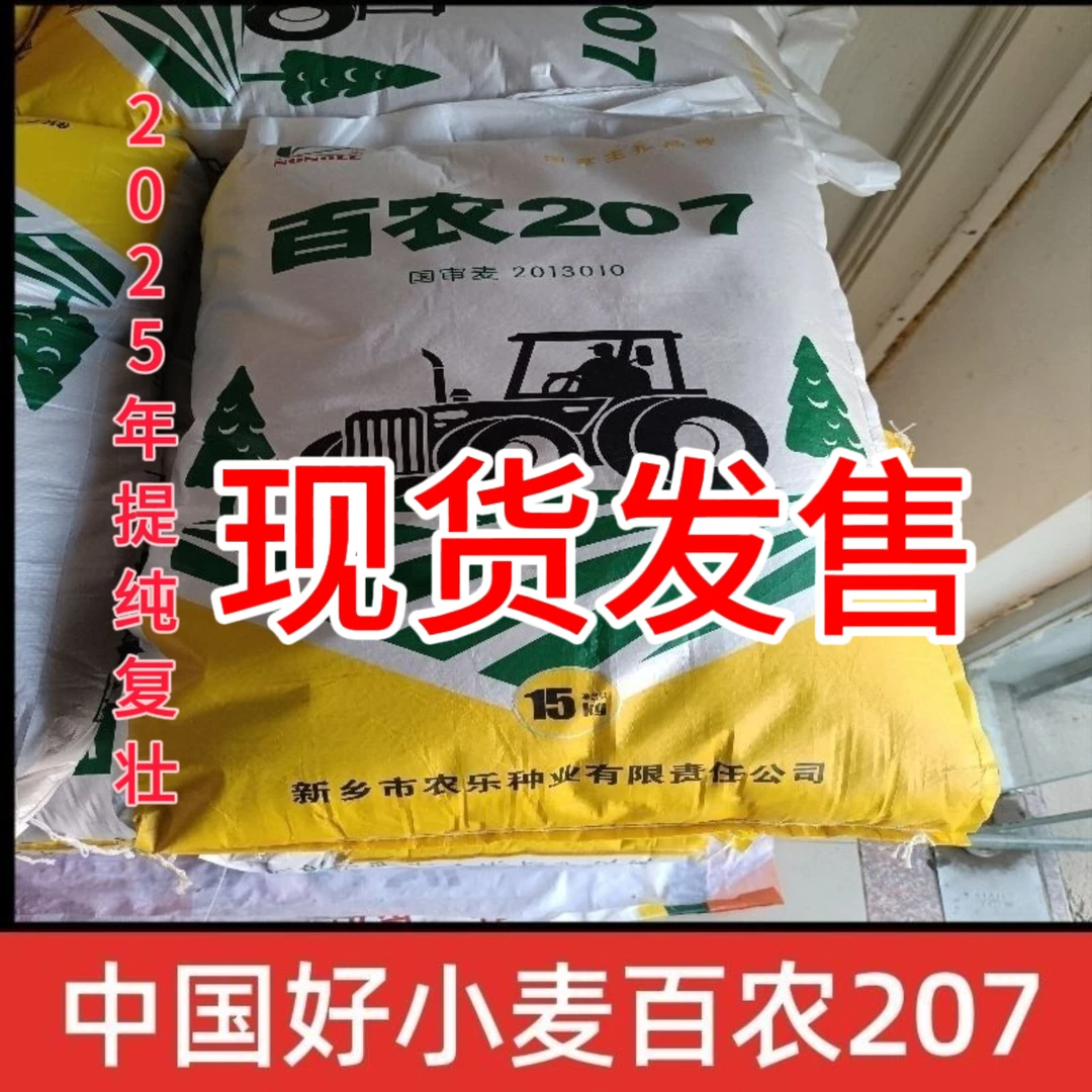 正品原装新品正宗高产百农207小麦种子耐高温抗冻高产小麦种子