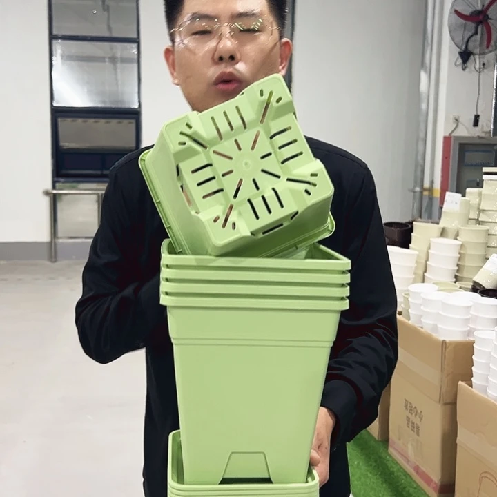 正品方盆口20高22果绿5只带托