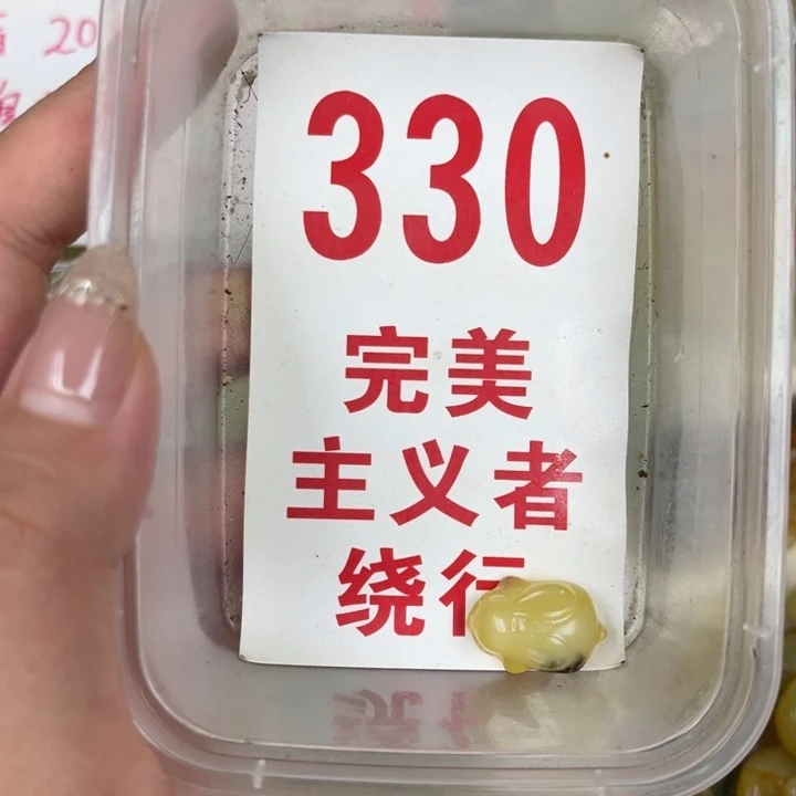 蛇纹石玉足银镀金镶嵌颈饰