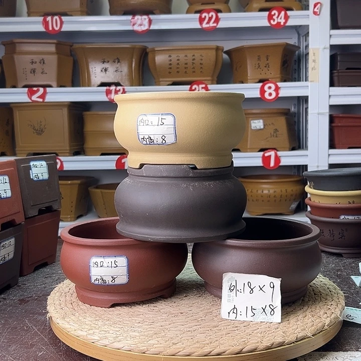 花盆紫砂蛇年大吉