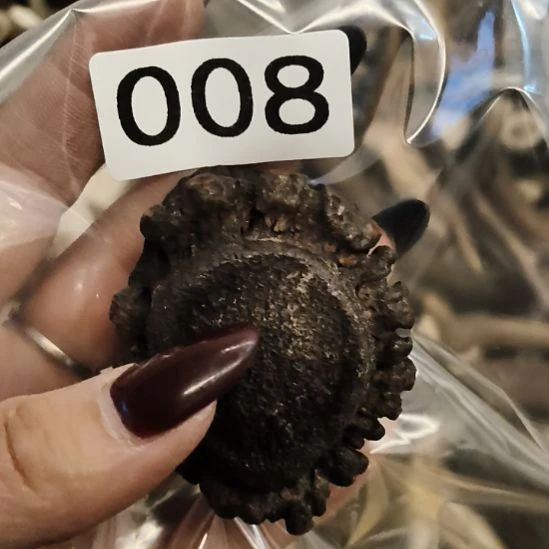 禁***区鹿角鹿角鹿角鹿角鹿角鹿角