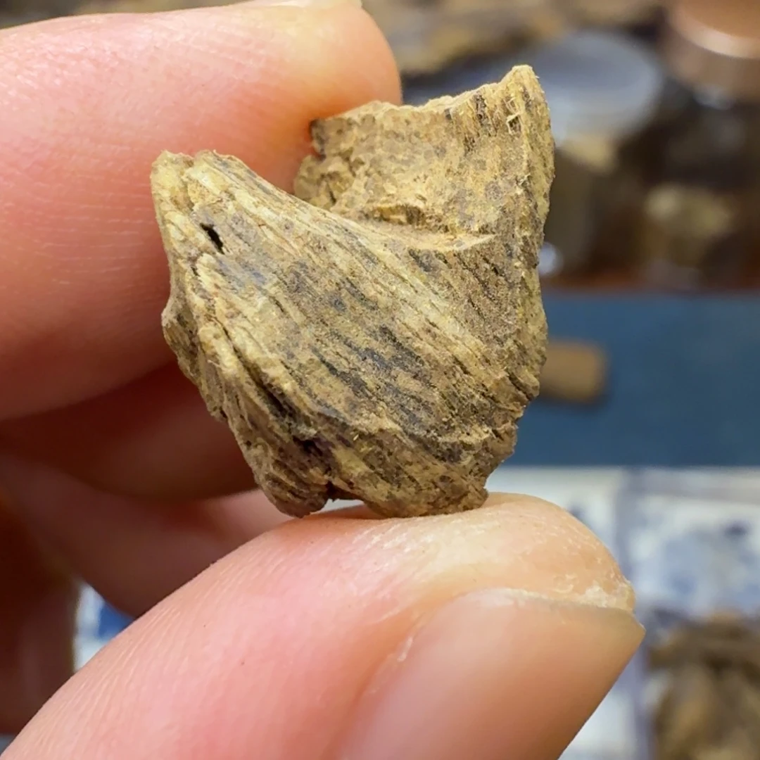 沉香芽庄正区碎料
