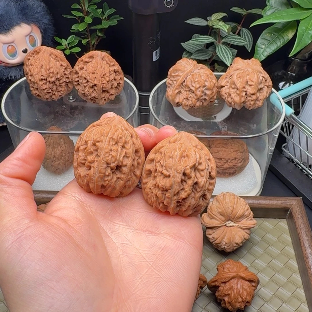 吊坠龙脊菩提全品赤龙鸡心36