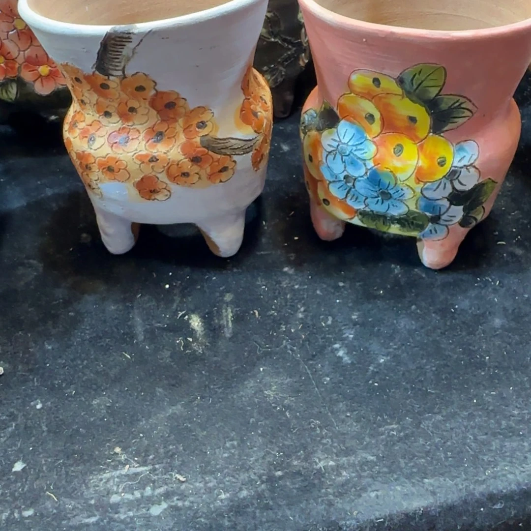 小****韩版小盆2只一起一起