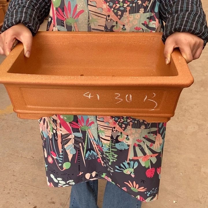 紫砂花盆只顾看手机和睡觉