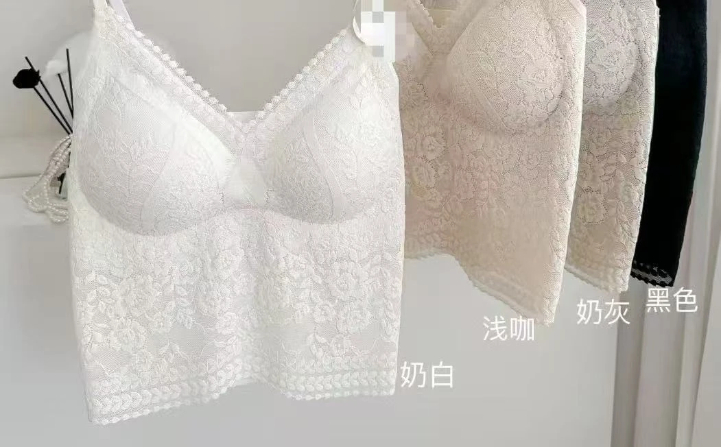 蕾丝时尚白色百搭美背无钢圈温柔聚拢日常外穿网红防走光