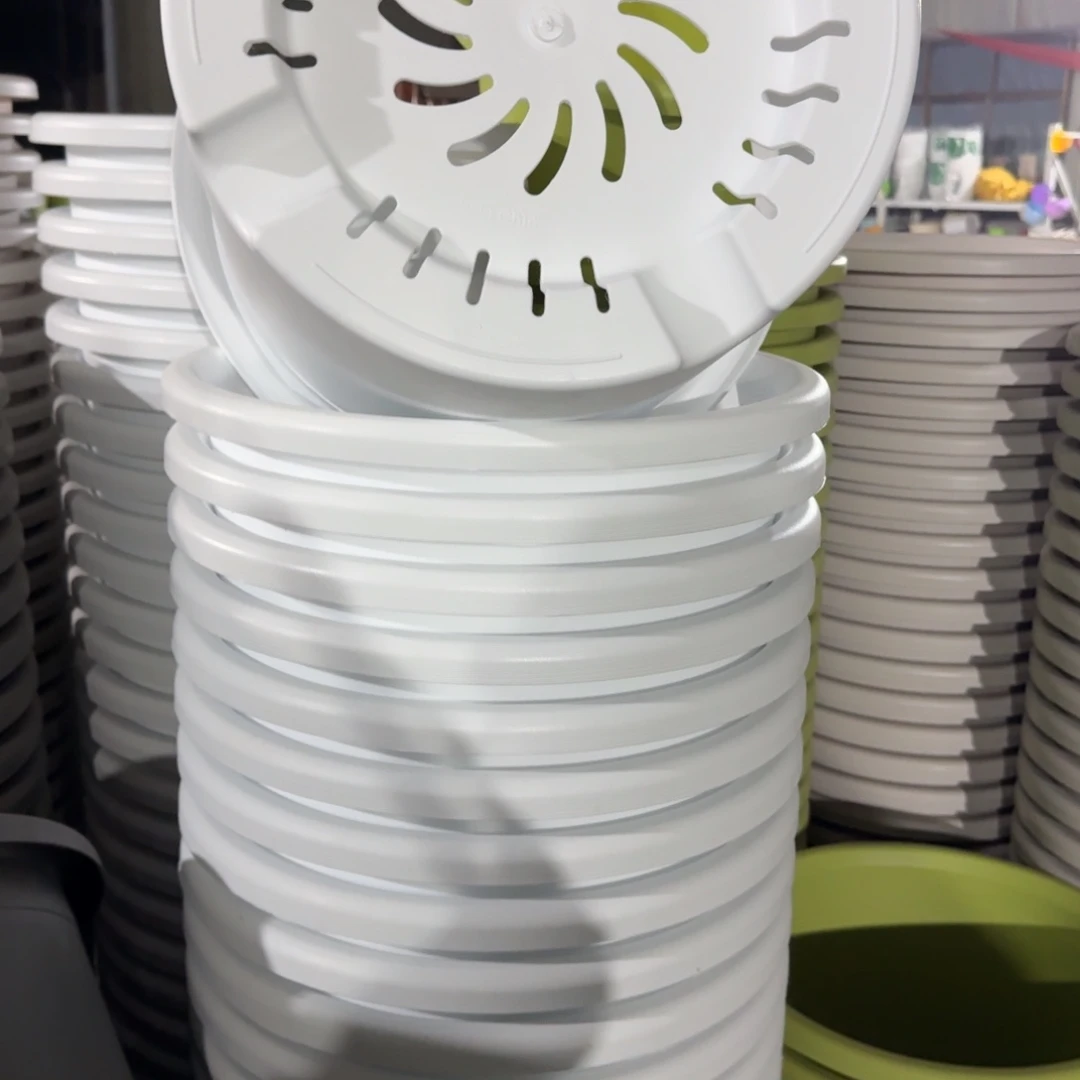 四季9号4个白色的