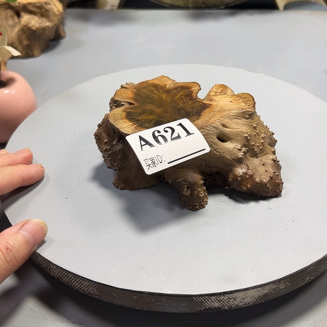 夜***啡大果紫檀（缅甸花梨）