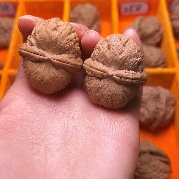 葫芦涞水山地果元宝全品