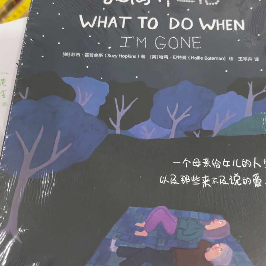 我离开之后精装一个