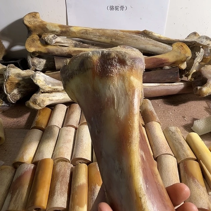 向****！yyhu前大腿前大腿整根整根