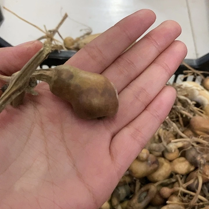 哈****酒s f h j j k k