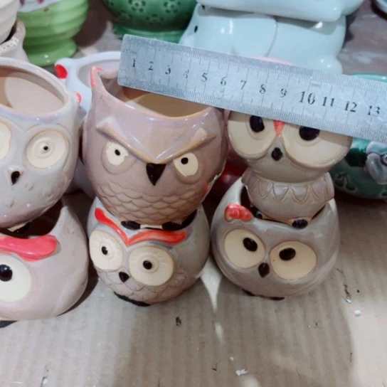 红陶111111111111111111