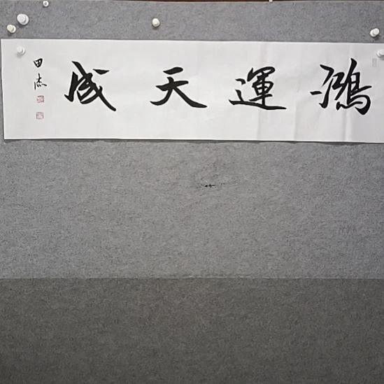 书法鸿运天成四尺对开书法作品