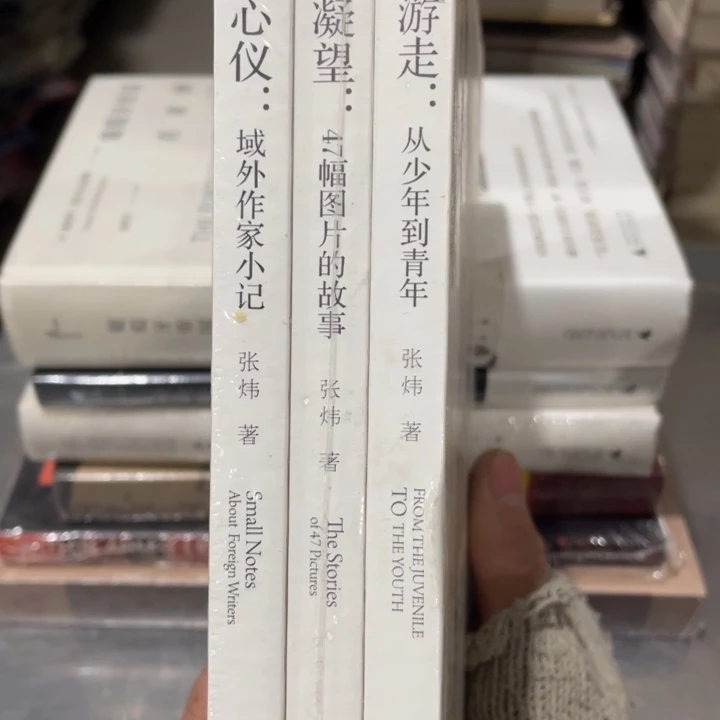 张炜文集三册合售正版塑封