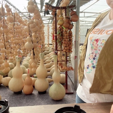 有机玻璃精品大葫芦摆件000458