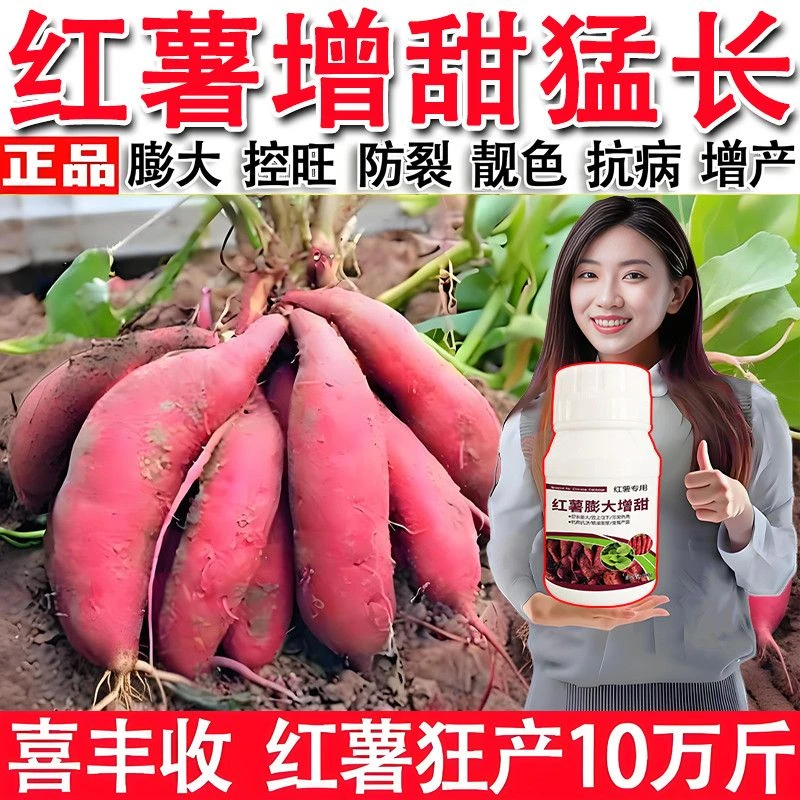 【红薯收不完】红薯专用正品药控旺增产防裂抗病红薯叶面肥膨大素