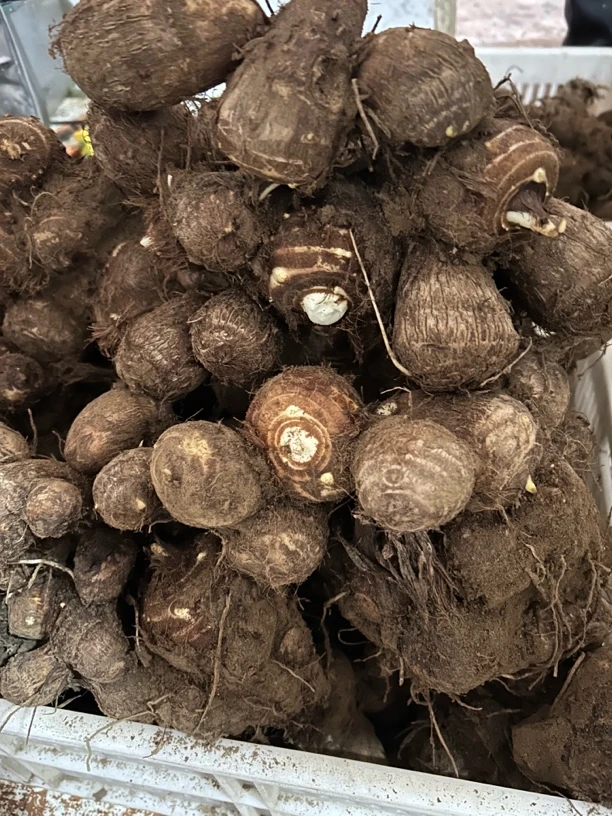 山东牛奶芋头，自种现挖现发货，香糯新鲜包邮