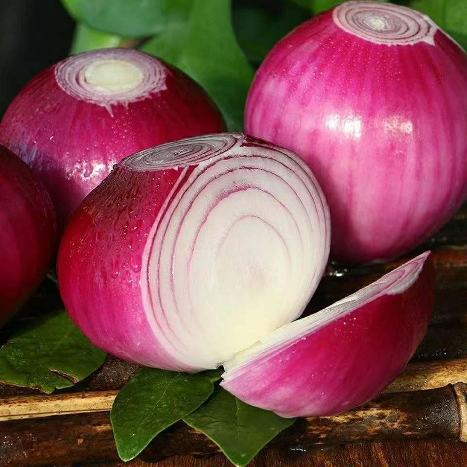 东北特产农产品小头毛葱新鲜生吃小头毛葱包邮