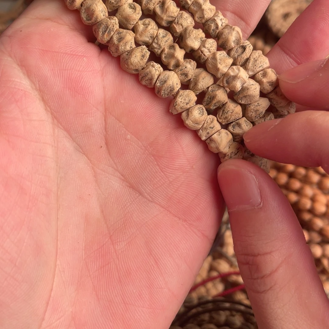 o***e柏木热振柏香籽深坑尾花