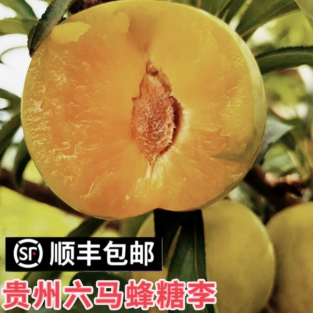 【顺丰空运】蜂糖李贵州正宗镇宁六马蜂糖李应季水果现摘现发