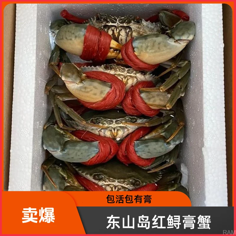 【包活】超大膏蟹8两到一斤特大红鲟青蟹红膏母蟹红膏蟹鲜活野螃蟹