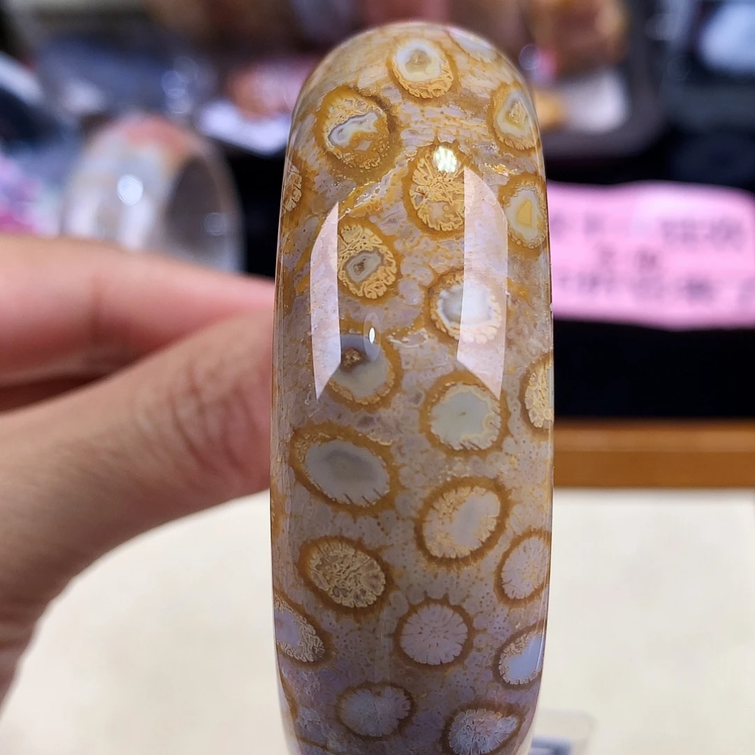 硅化珊瑚（珊瑚玉）未镶嵌吊坠(赠链)63号56圈口