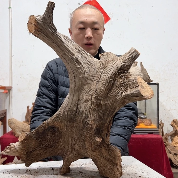 柏木龍***工我们的生活是以自己为