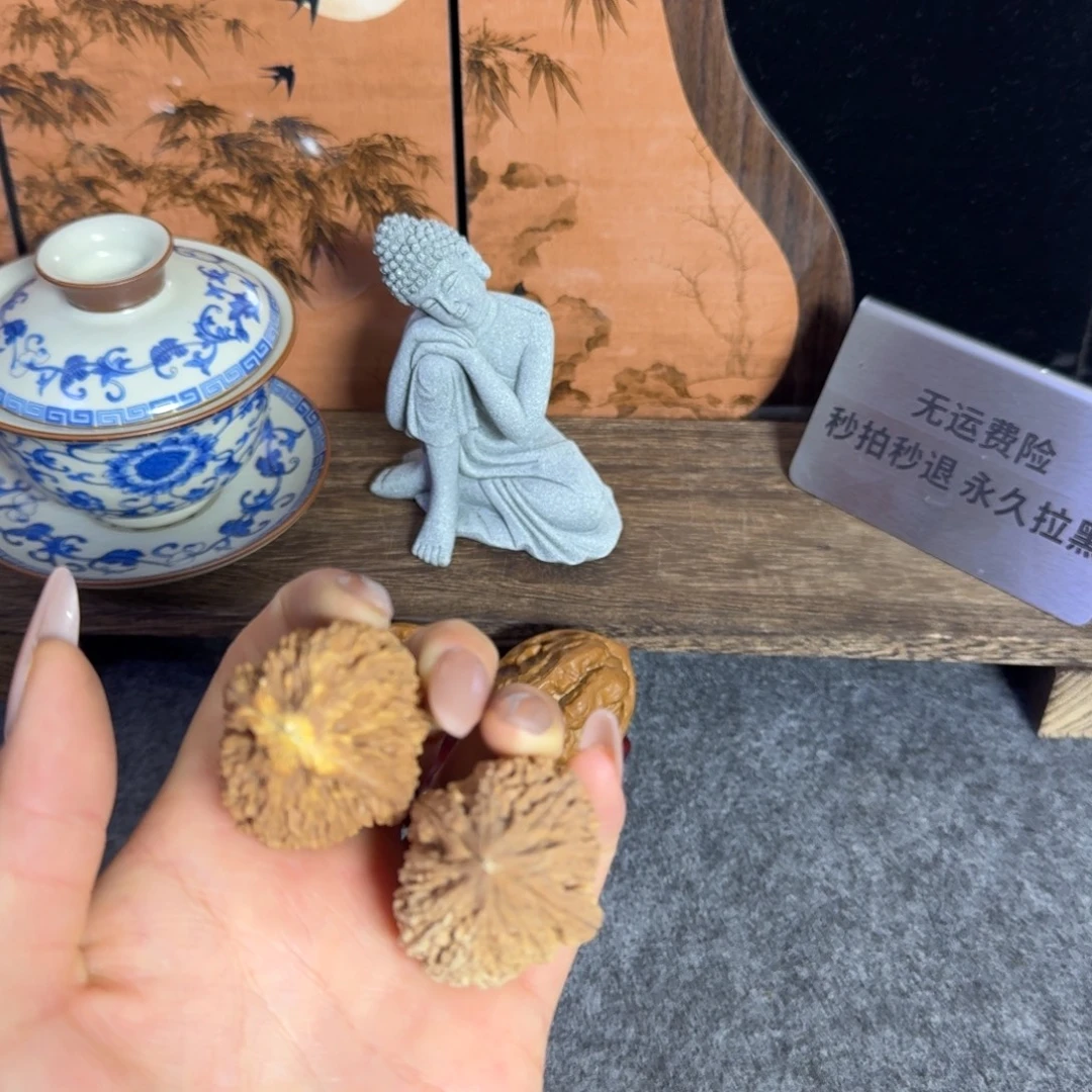 大蒜头黄金甲不退换