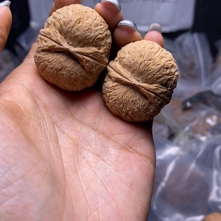 核桃云南野生铁核桃153号36mm