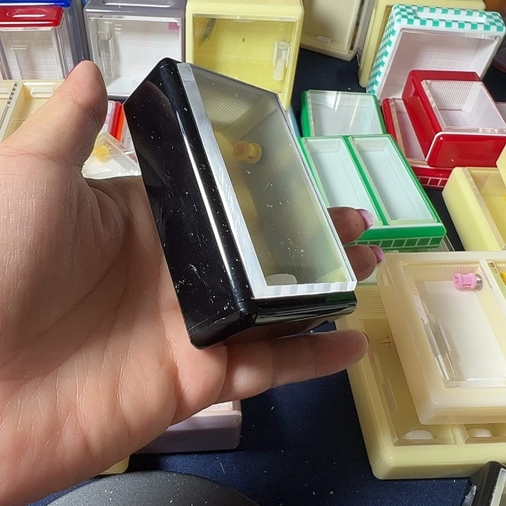 蟋蟀哈哈哈哈哈哈哈哈哈哈哈