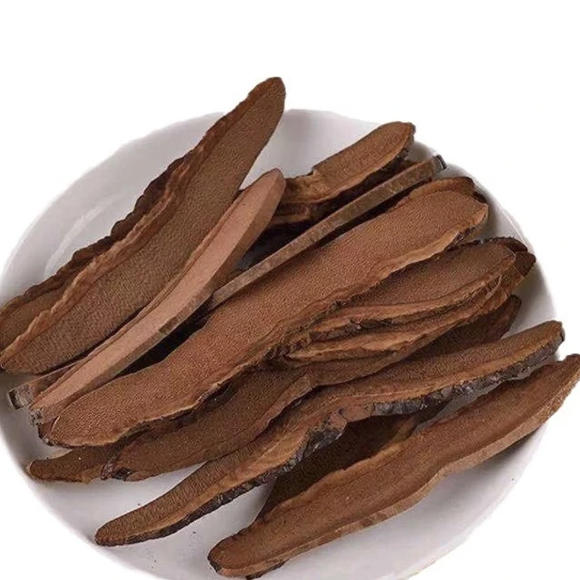 灵芝片 煲汤煮水【虾干福利】