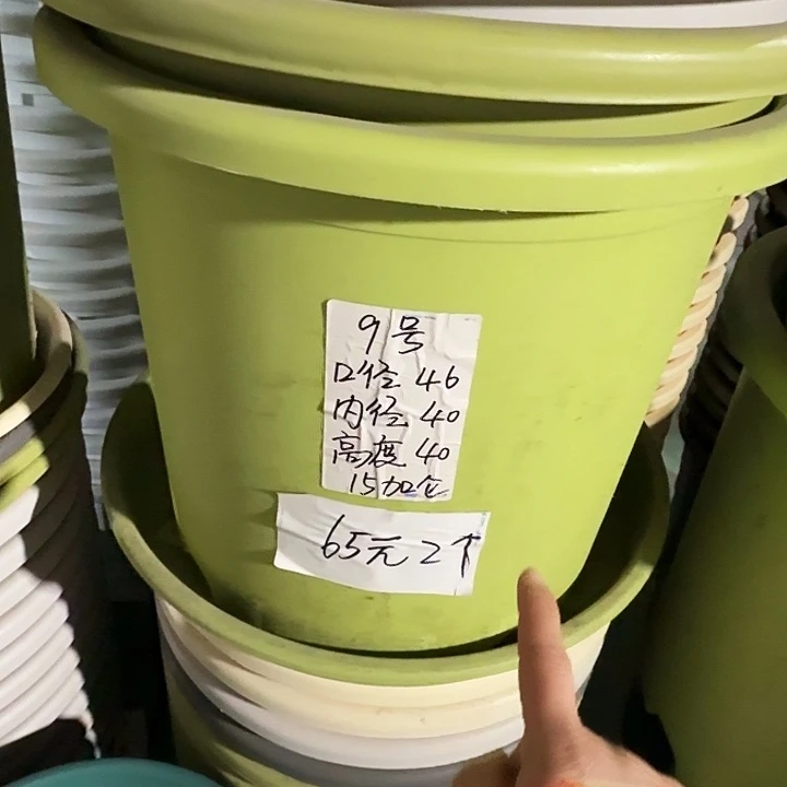 四季9号果绿无托2个口径46