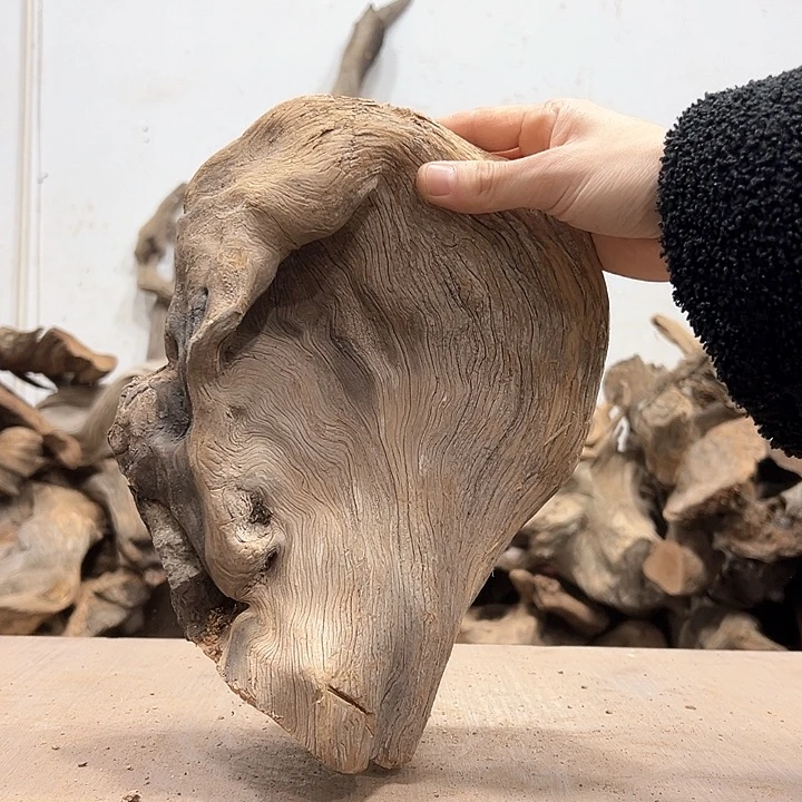 柏木汇*堂我们都是好孩子呀我也是想