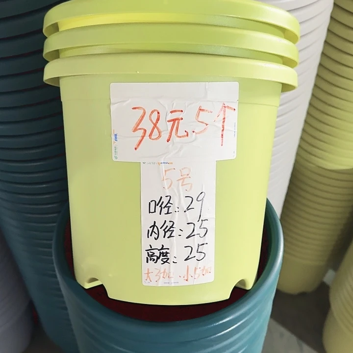 四季5#口径29果绿5个无托