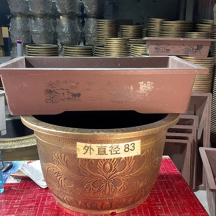 复合老*3d f hjj j