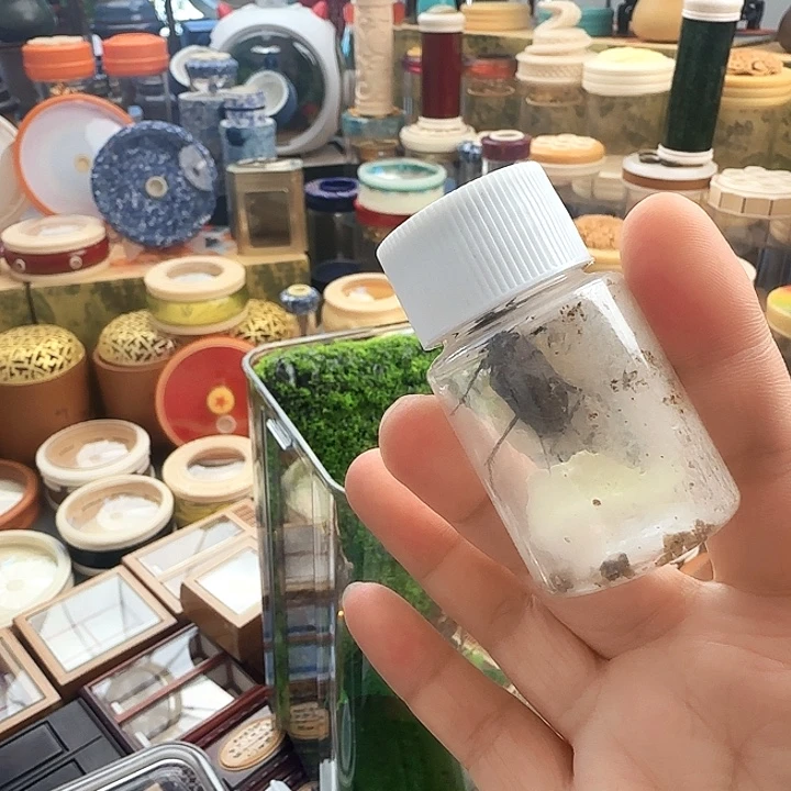 麒麟2只啊啊啊啊啊啊