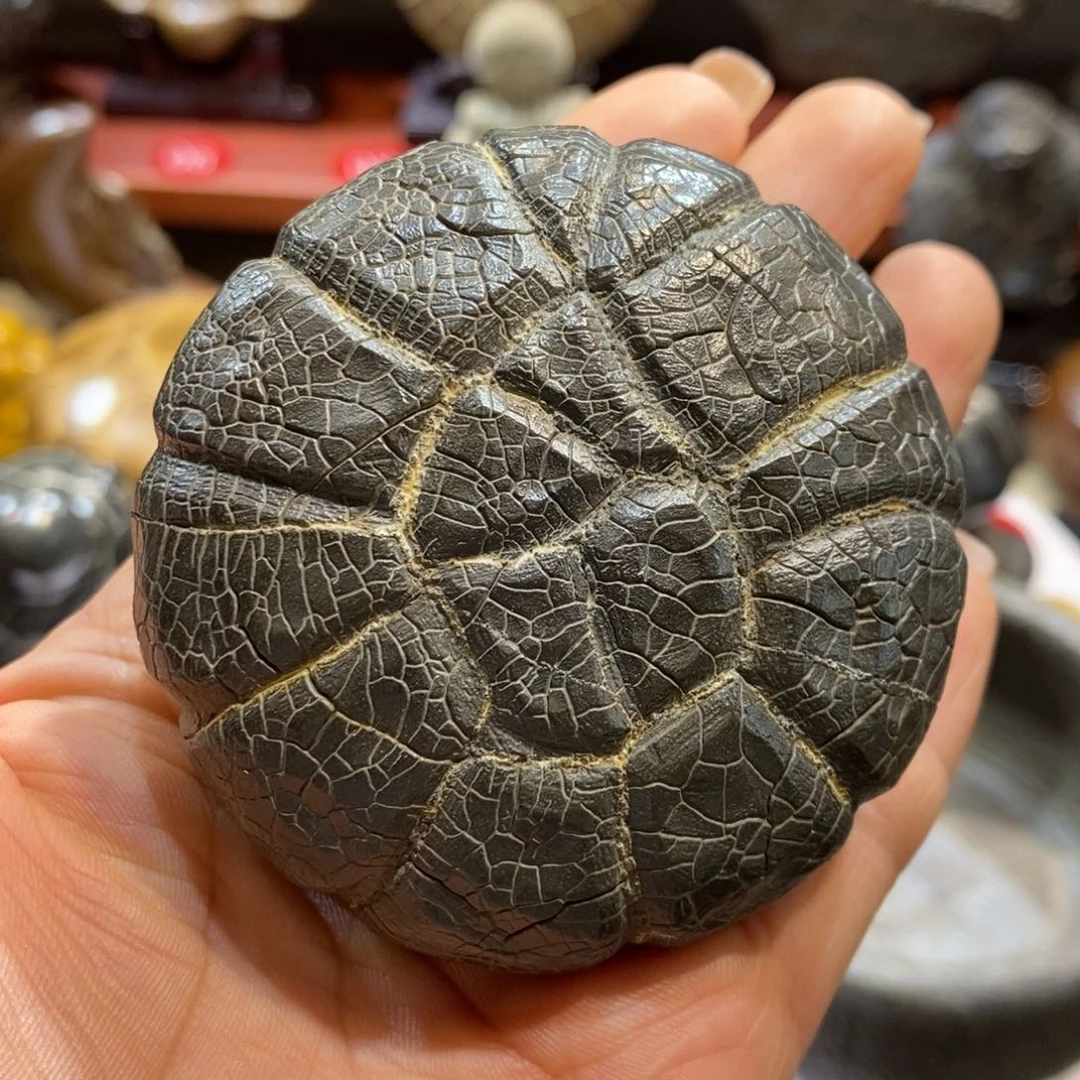 人***途羊羔毛龟纹石直播间