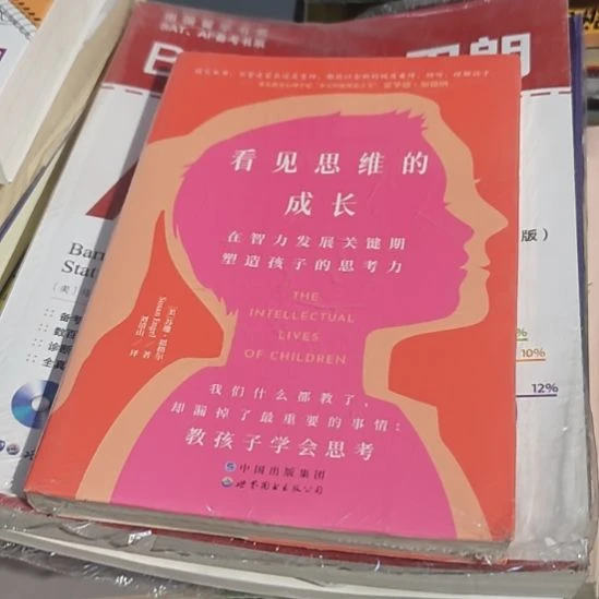 看见思维的成长平装库存书